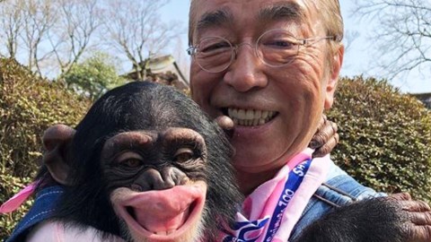 不捨與志村健道別!黑猩猩小龐追上前討抱抱畫面惹哭網友