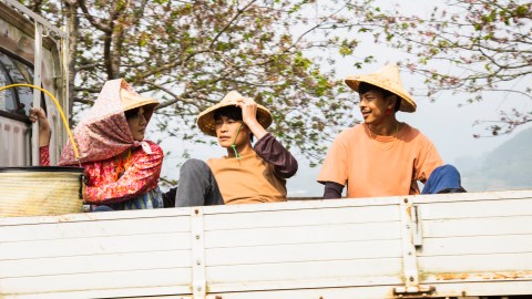 《無主之子》黃鐙輝變越南移工?!和李又汝濕吻......