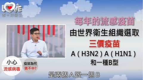 對抗流感  流感疫苗的施打與保護