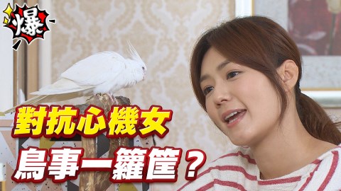 《多情城市-EP174精采片段》對抗心機女 鳥事一籮筐?