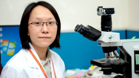 【免疫球蛋白G4】相關性淋巴結腫大