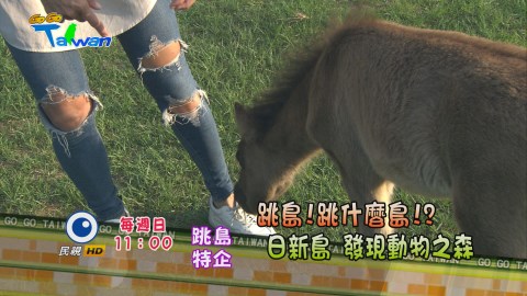 《GoGoTaiwan》國內跳島遊 親子輕旅遊