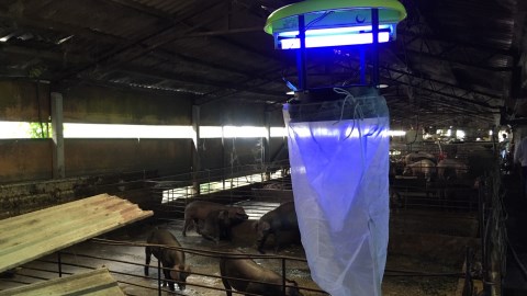 防蚊大作戰!臺南出現今年首例日本腦炎確定病例