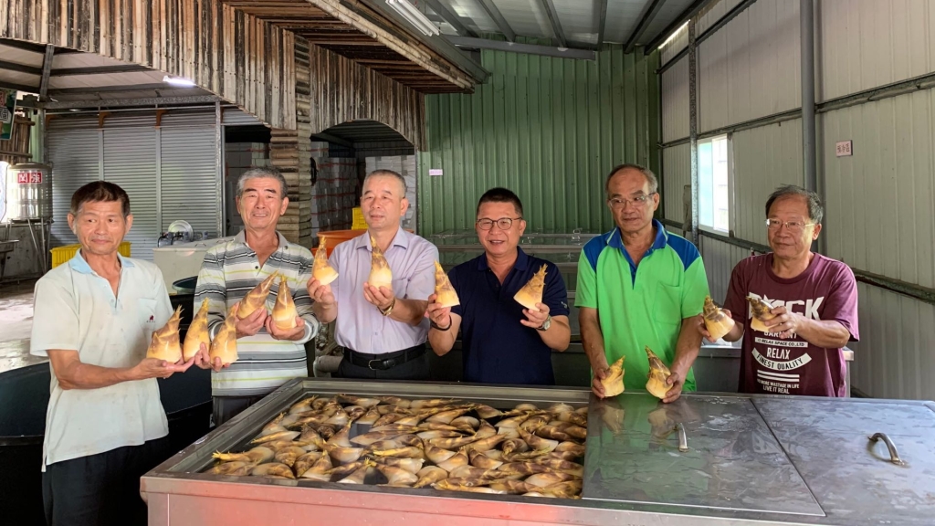 低卡美食！綠竹筍鮮採上市囉