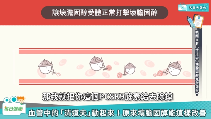 心肌梗塞兇手是壞膽固醇！如何讓「血管清道夫」正常運作？