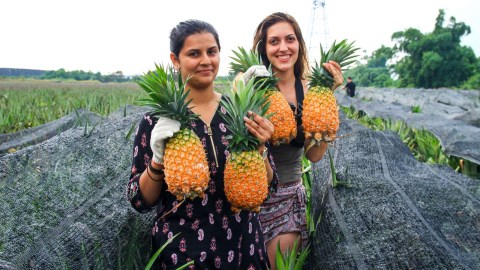 農遊券全台哪裡花最好康?高雄9大農村再加碼100元