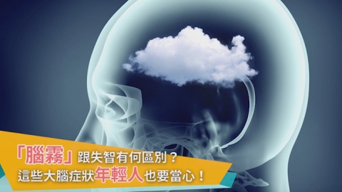 「腦霧」就是失智嗎？ 年輕人也要當心的「大腦當機」症狀！