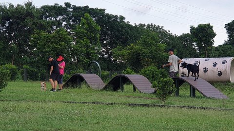 毛小孩樂園開幕 屏東最新打卡景點
