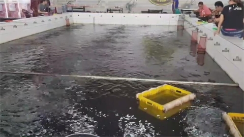 有夠蝦！情侶釣蝦池放閃一時興起公主抱沒想到卻倒栽蔥