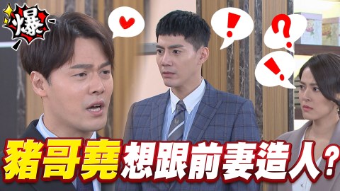 豬哥堯 想跟前妻造人?《多情城市-EP293精采片段》