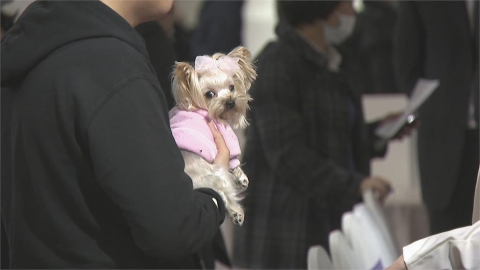 毛小孩就醫費用高 寵物全聯會推「買寵物附保險」