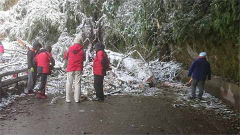 追雪族留意! 氣溫回暖高山雪融 南橫公路156k路樹倒塌