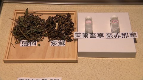 中研院發現5抗疫藥物 中藥薄荷紫蘇都上榜