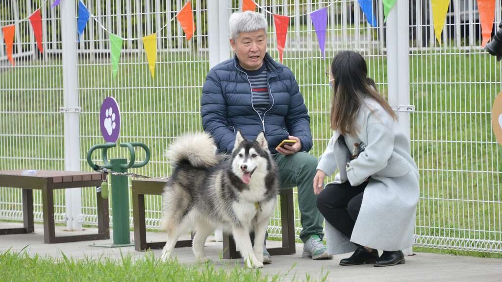 毛小孩專屬運動空間！北市百萬打造「古亭狗活動區」