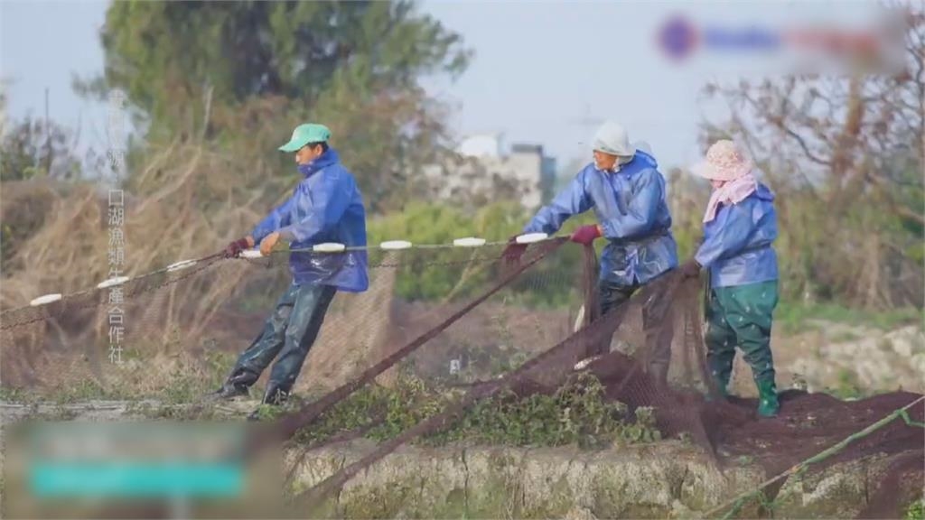 經濟部導入AI科技 區塊鏈 台農漁產品獲國際認證