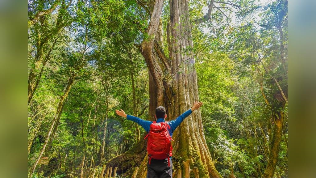 反對「山林微解封」部落憂人潮引發疫情　司馬庫斯、霞喀羅都不開放