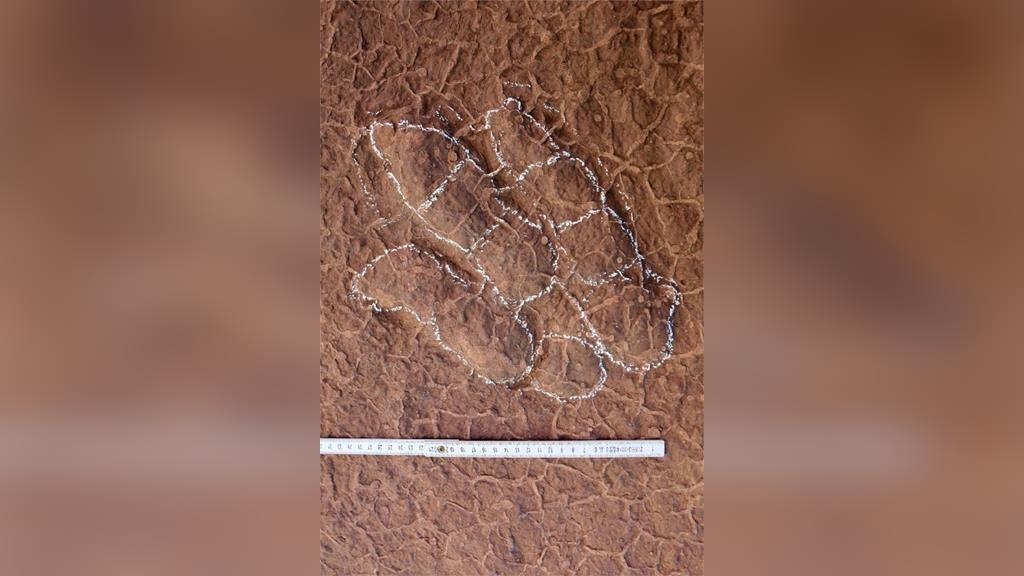 哆啦A夢粉絲中國學者發現新恐龍　學名取「大雄」