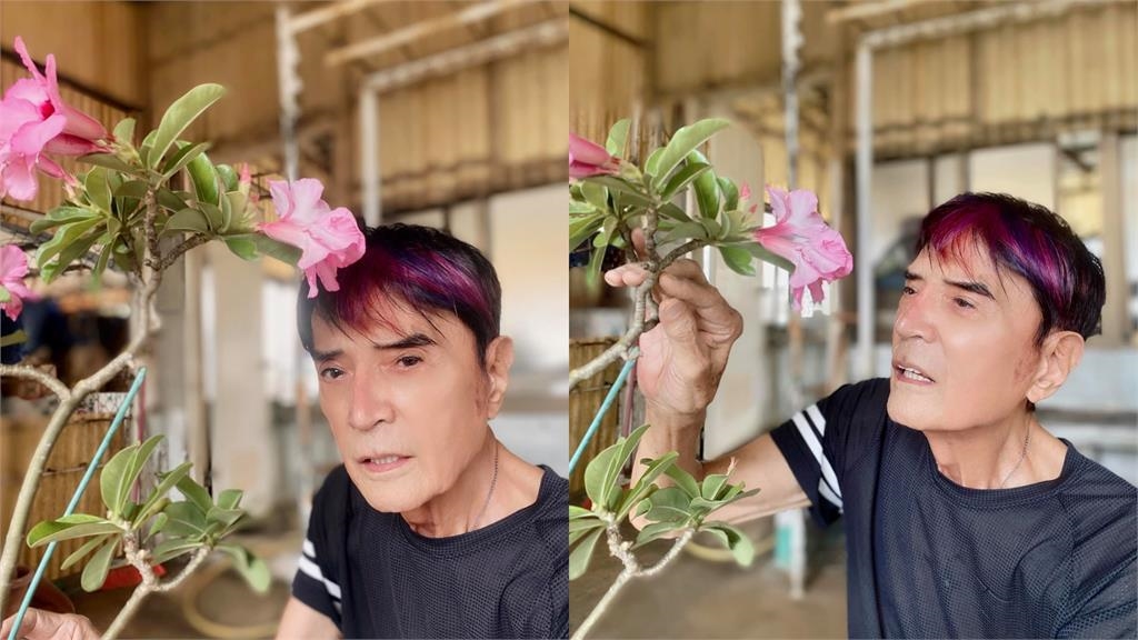 88歲林沖和龍劭華同為糖尿病患者　痛心曝1遺憾：應該早一點告訴他