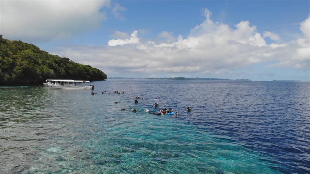 無航班！　帛琉總統動怒　批華航「毒害玩弄」市場