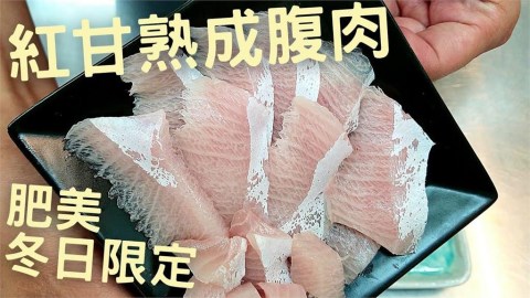 秋冬「紅甘」超肥美!生魚片、魚湯味鮮可口 達人傳授自製熟成壽司撇步