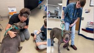 8年前走失！狗狗一見到家人「直奔懷抱」開心撒嬌：等這一刻好久了...