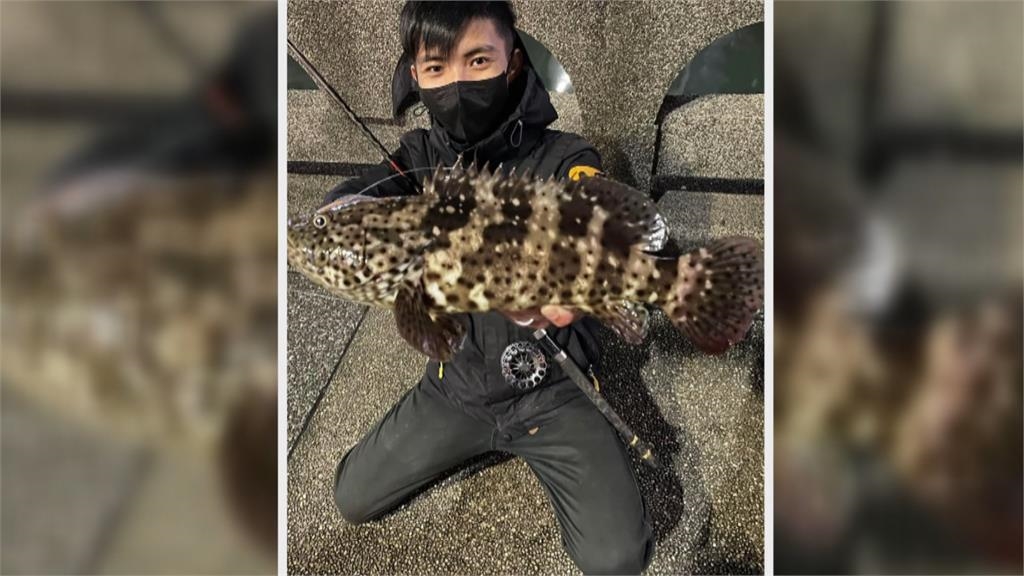 快來朝聖！基隆田寮河上鉤石斑　比成人肩膀寬