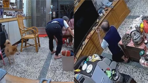 那ㄟ攏找嘸!阿公假牙噴飛不見急擲筊問神 調監視器尋牙犯人竟是牠