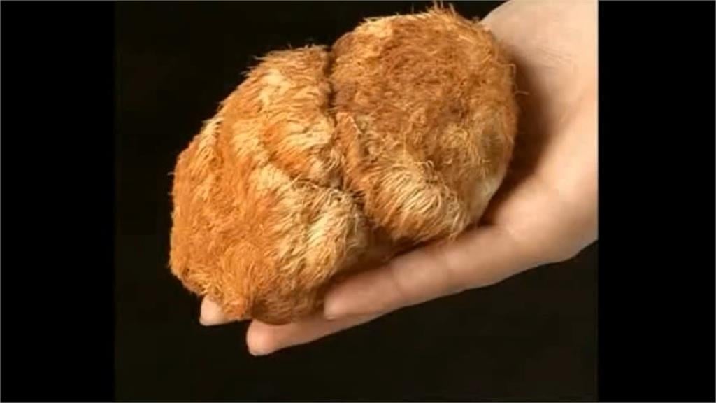 中國猴頭菇農藥殘留多　半年來已15批違規