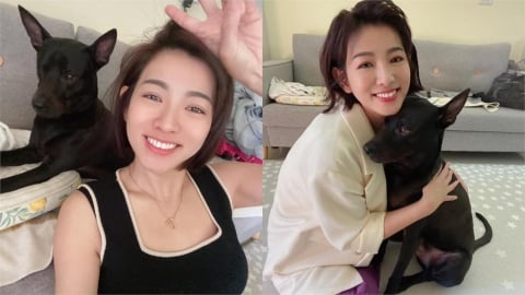 PO送養文被網求「給浪浪一個家」！米可白婉拒曝心聲：比任何人都不捨