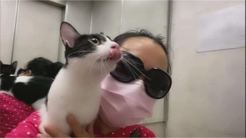 住台成都妹帶毛孩看醫生 見兩國「獸醫素質落差」大讚:台灣很有良心