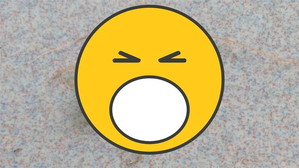 好像沒那麼可怕？超罕見「潔白小強」引熱議　內行人揭「變色」原因　