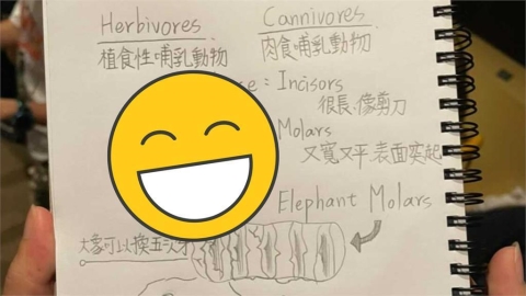 國小生逛博物館寫「超狂雙語筆記」!動物圖畫超生動網讚:100分