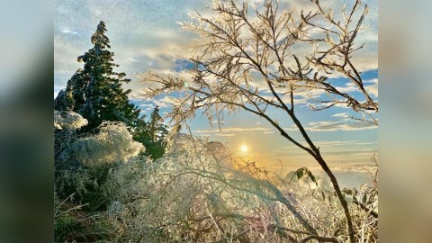 氣溫下探-6度仍未飄雪 宜蘭太平山「霧淞」美景曝光