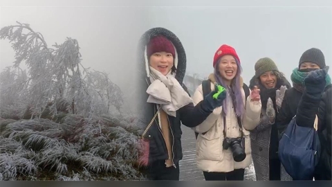 太平山結滿霧淞美景曝光! 台北遊客衝宜蘭嗨喊:銀白世界太美了