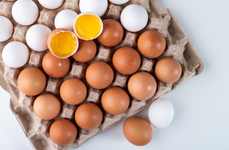 這種蛋「膽固醇」最高！ 營養師曝「7種蛋」營養成分