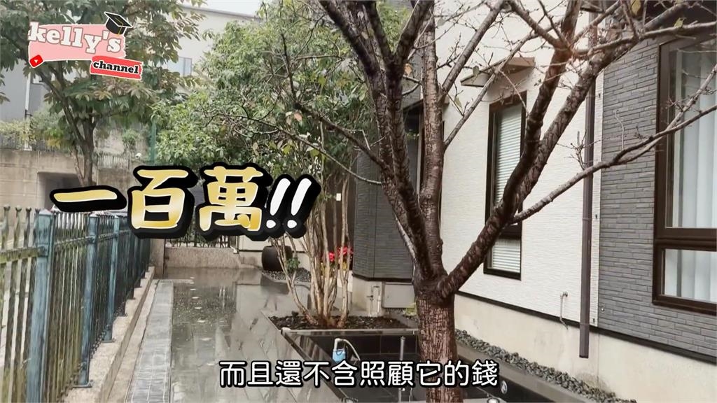 門前櫻花樹就要價百萬！她開箱300坪浮誇別墅　笑嘆：有動力努力賺錢了