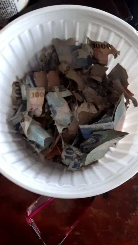 錢錢沒變成喜歡的樣子!爸1.8萬私房錢遭翻出…見1幕忍不住淚崩