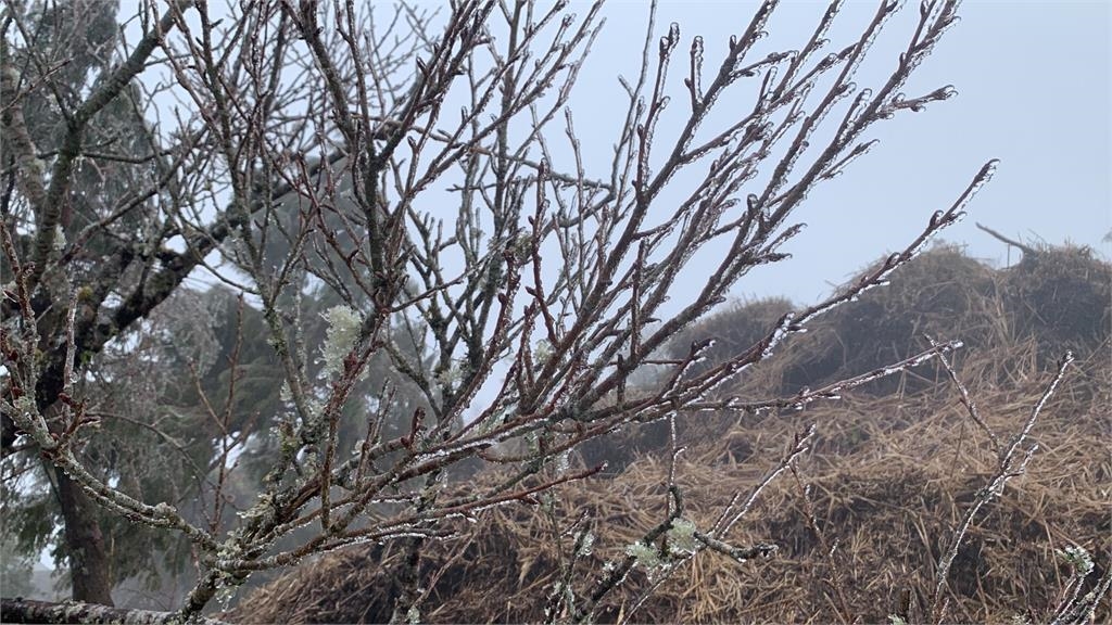 寒流影響!太平山今下起冰霰、霧凇引遊客駐足 林管處啟動雪期預警管制因應 寒流影響!太平山今下起冰霰、霧凇引遊客駐足 林管處啟動雪期預警管制因應