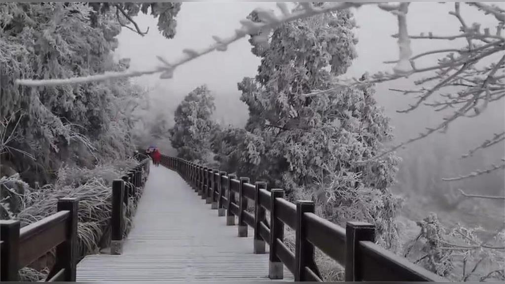 好美!走進整片銀白世界 宜蘭與台中交界處「思源埡口」下雪盛景曝 好美!走進整片銀白世界 宜蘭與台中交界處「思源埡口」下雪盛景曝