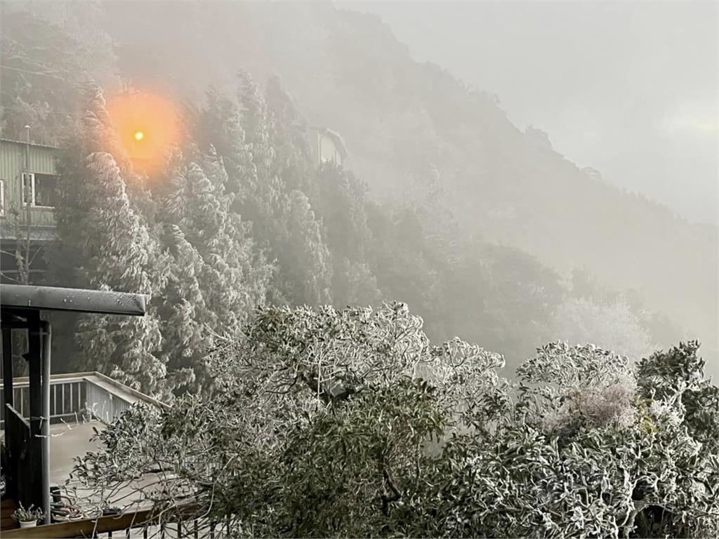 新竹也下雪了！零下2度夢幻雪景曝光　樹葉結冰如「灑了1層糖粉」