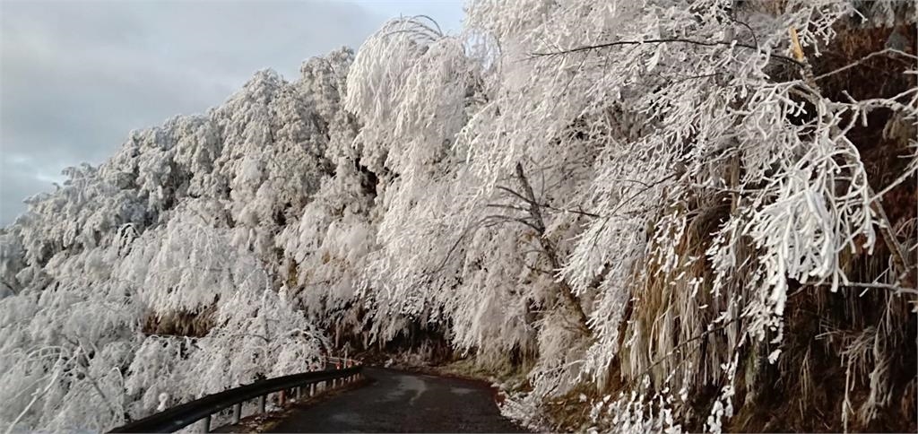 美翻!太平山變銀白世界 藍天白雲「日出霧凇」美景曝光
