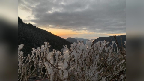 美翻!太平山變銀白世界 藍天白雲「日出下霧凇」美景曝光