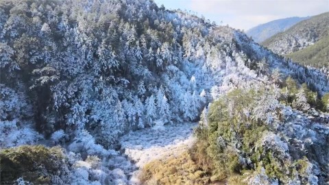 置身仙境!思源埡口飄雪了 中橫公路宛如穿上「冰腰帶」