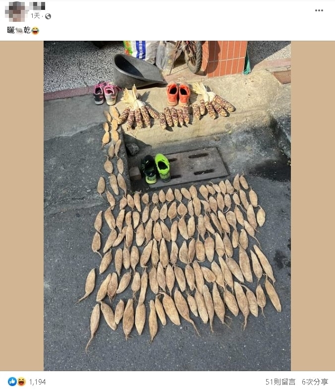 怕爆!路邊鋪滿「老鼠」曬日光浴?網一看嚇壞…真相曝光笑翻:鼠勾以