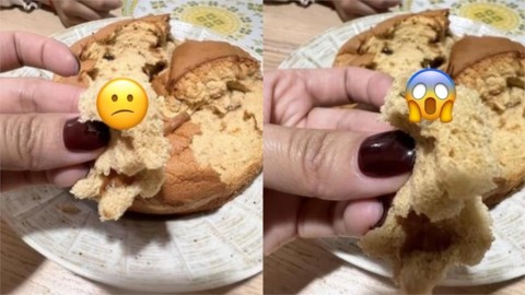 蛋糕吃一半驚見「超巨蒼蠅」!2寶媽怒槓知名烘焙坊 網掀兩派論戰
