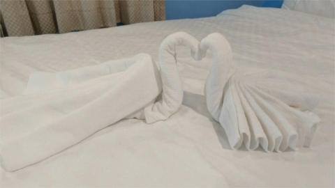 客人退房後留驚喜 床上驚見「這場景」老闆樂歪