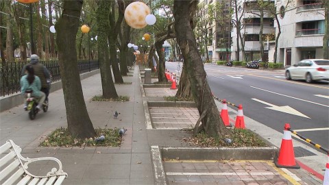 台灣燈會周邊部分路段禁停車 附近居民沒得停怨:配套措施呢?