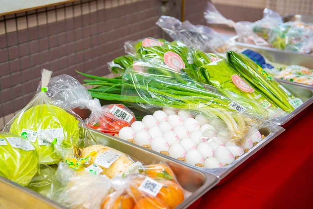 桃園落實國中小免費營養午餐  張善政：19.5萬名學生吃得安心、家長放心