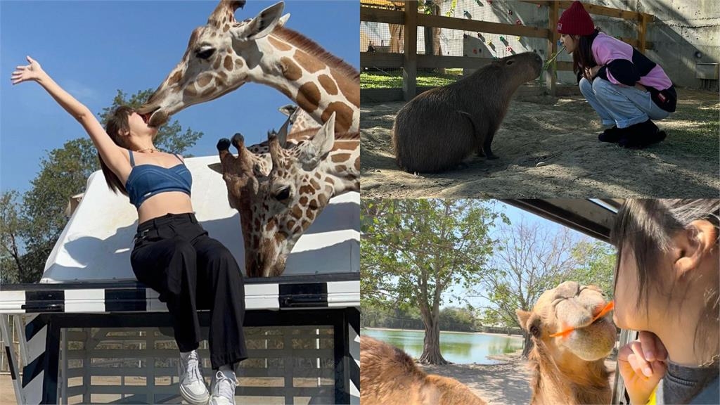 啦啦隊「虎牙甜心」羞曬路邊放閃照！「霸氣緊摟＋濕吻」畫面掀粉暴動