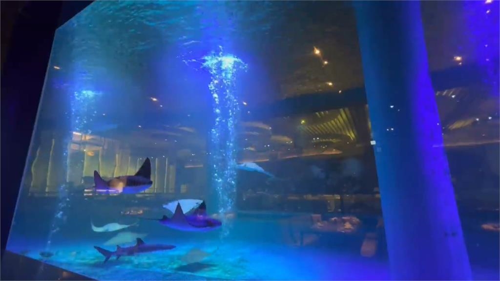 台灣趴趴走／入山中饗海味　在雲林古坑不在基隆的「八斗子海鮮餐廳」！